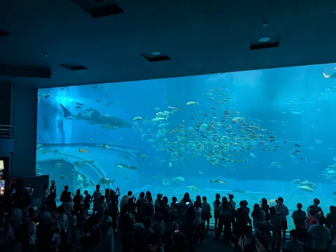 巨大水槽と大勢の観客