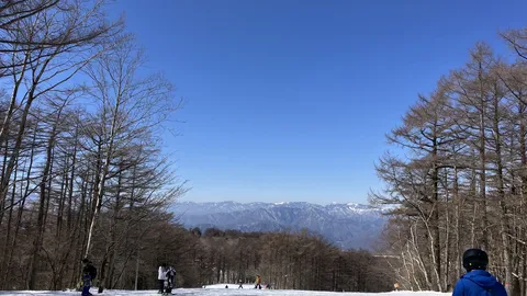 冬晴れのゲレンデ、青空と雪山