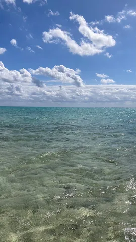 透明な海と青い空のささやき