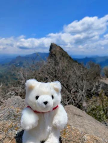 テディベアと雄大な山の景色