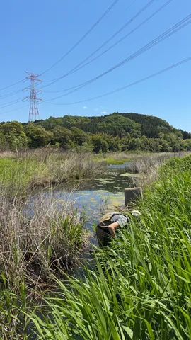 自然と研究者の静かな時間