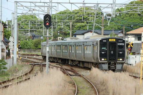 夏の線路に走る静かな影