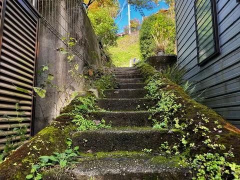 苔むす石段、緑の小道