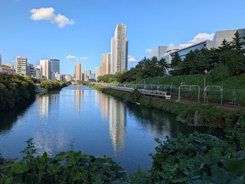 都会の川辺に映る日常