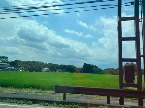 夏の田園、電線と空