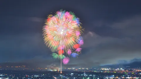 煌めく夜景に咲く彩り花火