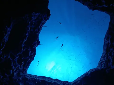 水中洞窟に差し込む光と魚の群れ