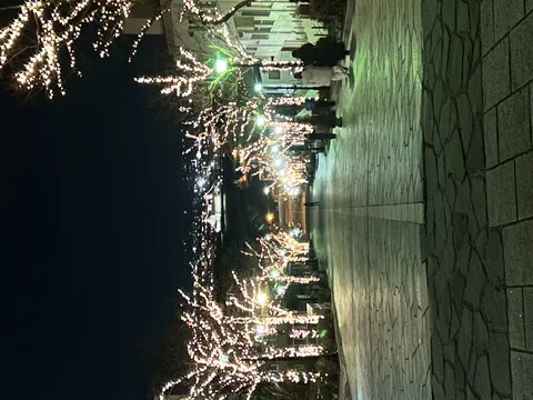 光の並木道と夜景
