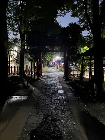 提灯の灯りが誘う夜の参道
