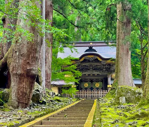 森の奥で静まる山門
