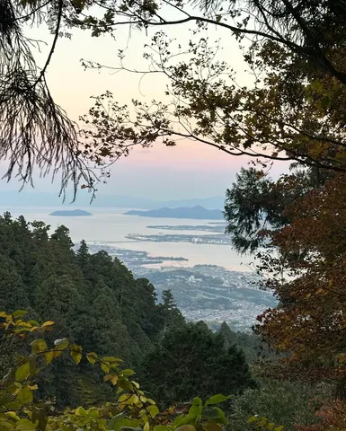 木々の間から望む静かな景色