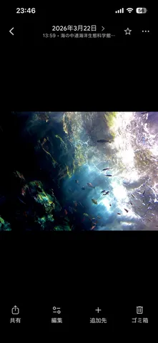 水中世界に吸い込まれそう