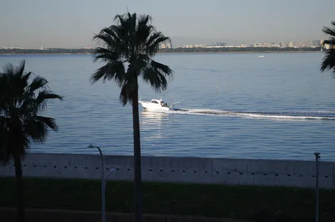 青い海と白い船のコントラスト