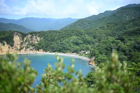 緑深き海岸線、時を忘れる隠れ家
