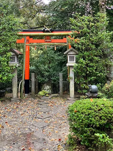 雨上がりの鳥居、静寂の誘い