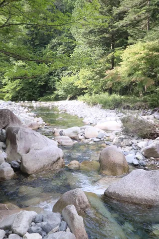 静寂の渓流、石と緑の戯れ