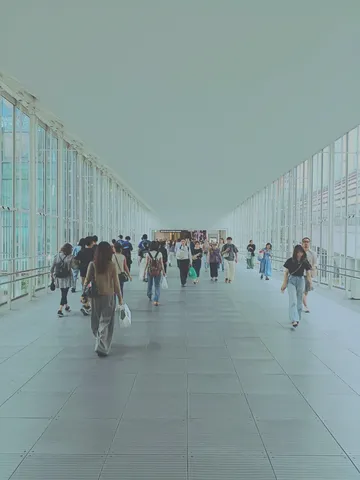都会の透明な道筋