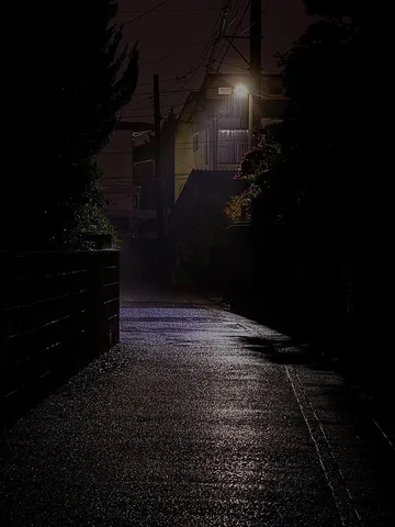 雨上がりの夜道