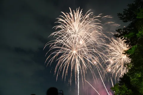 夜空に咲く光の花