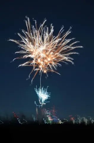 夜空に広がる光の華