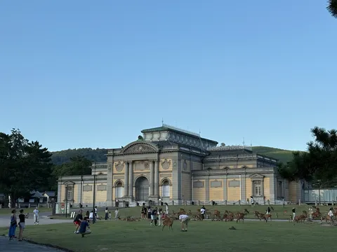 時が止まったような、静かな午後の物語