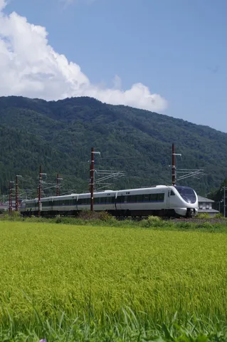 田園を駆け抜ける白い流線形