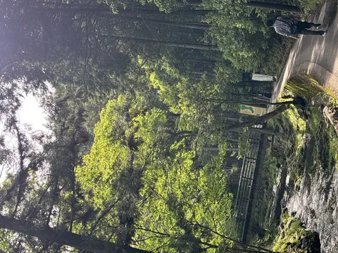 木漏れ日と水の輝き