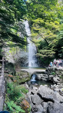 緑深き滝つぼの涼風