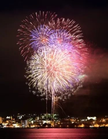 水面に映える夜の花