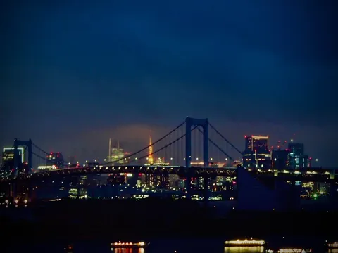 夜景に浮かぶレインボーブリッジ