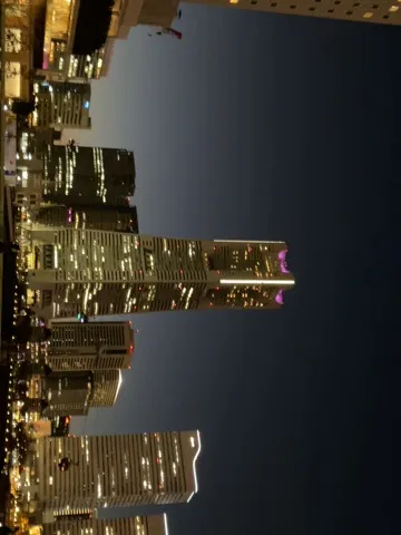 夜空にそびえる光の摩天楼