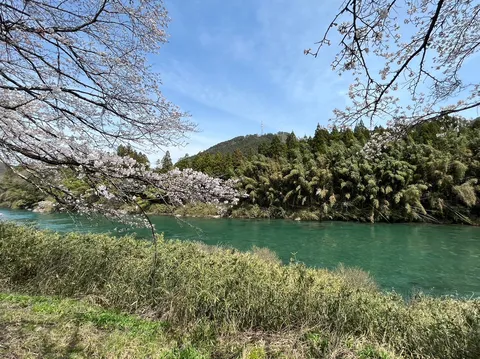 春風と水の青い流れ