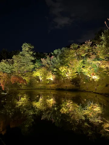 夜風に揺れる木々と水面のアート