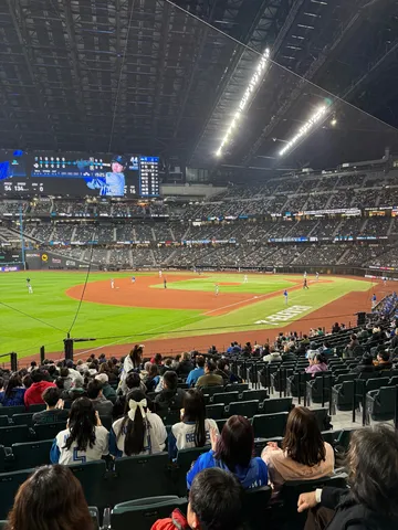 ナイター観戦、熱気と光のスタジアム