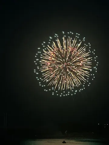 夜空に咲く大輪の花