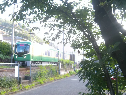 緑と列車の静かな往来