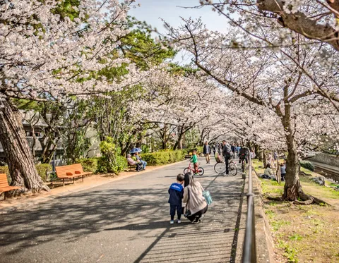 桜並木の下の家族時間