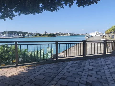 水辺の静かな瞬間