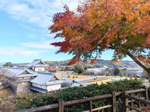 紅葉のカーテンから覗くお城