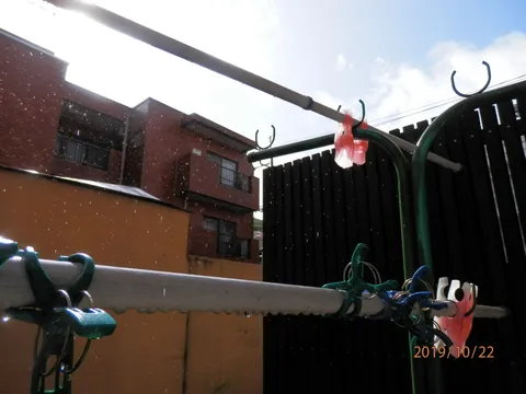 風に揺れる小物の謎