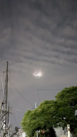 夜空を照らすおぼろ月