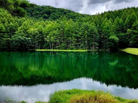 森が二倍の湖