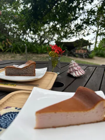 庭の風と赤花のケーキ時間