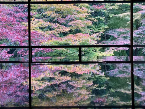 窓越しの紅葉、水鏡に映る秋