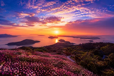 茜空と花咲く島の絶景