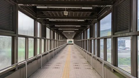 未来へと続く、光の回廊