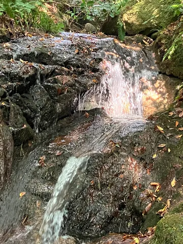 滝の静寂、岩の濡れ色