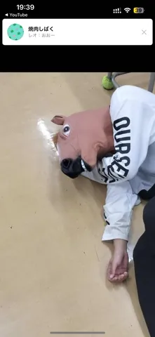 馬マスクのシュールな日常