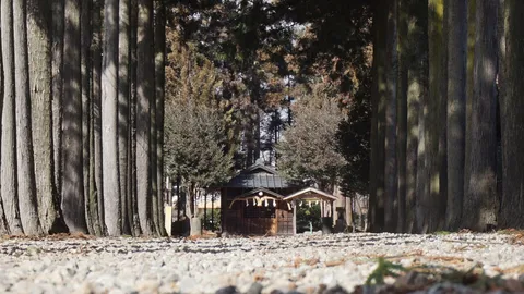森の奥にひっそり佇む小さな shrine