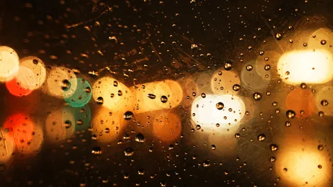 雨粒越しの、きらめく夜